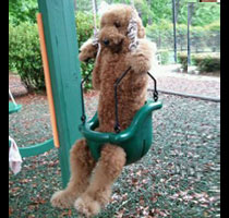 just-swingin